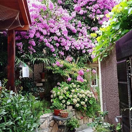 Apartman I Sobe Cule Cres Exterior foto