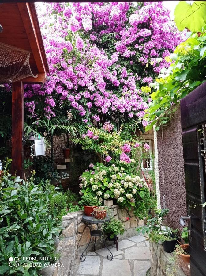 Apartman I Sobe Cule Cres Exterior foto